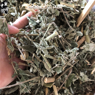木豆叶干品500克 观音豆 树豆 三叶豆 花螺树豆 野黄豆中药材