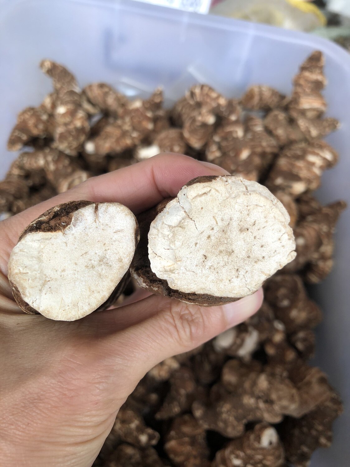 云南滇重楼500克中药材独角莲蚤休草河车七叶一枝花干货