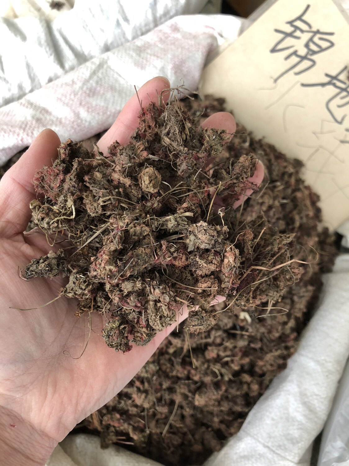 锦地罗中药材 怎地罗500克文钱红金线吊芙蓉 落地金钱金钱花