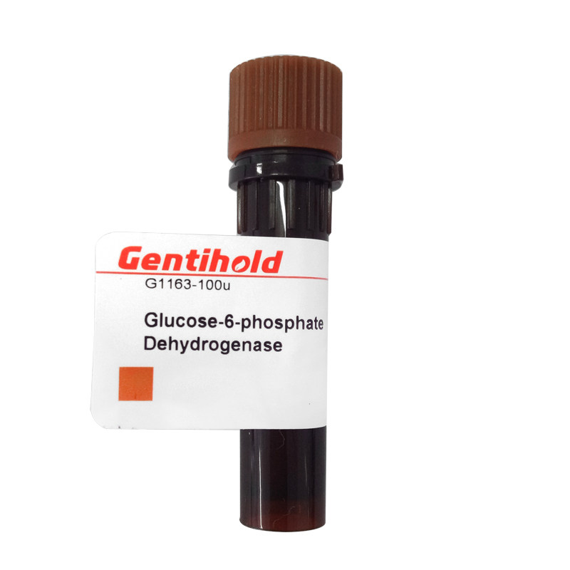实验试剂 Gentihold 葡萄糖-6-磷酸脱氢酶 G1163