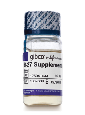 GIBCO原装 B27无血清添加剂无血清培养基17504-044