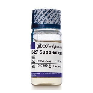 GIBCO原装 044 B27无血清添加剂无血清培养基17504