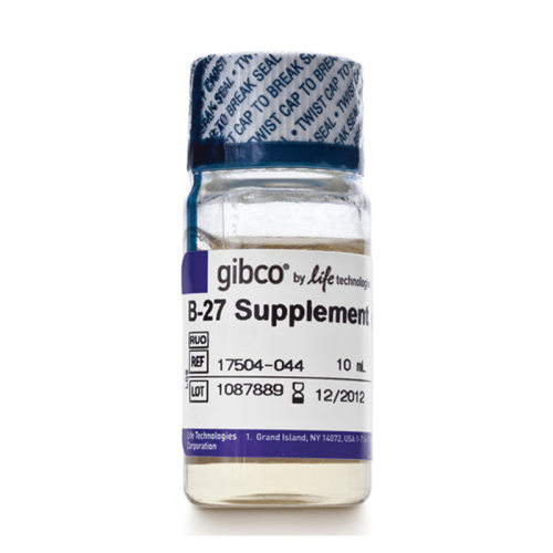 GIBCO原装 B27无血清添加剂无血清培养基17504-044