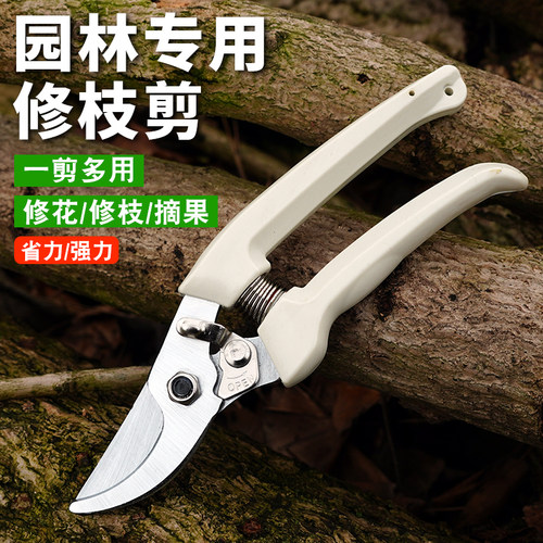 130小白柄果树修枝剪剪树枝剪