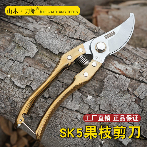 剪枝剪刀园艺剪树枝果树果枝花剪