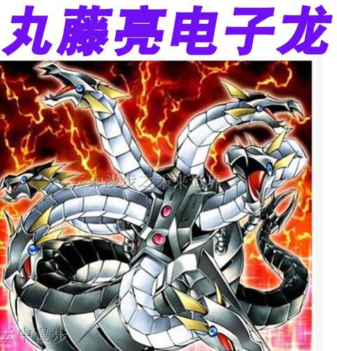 电子龙卡组价格 电子龙卡组图片 星期三