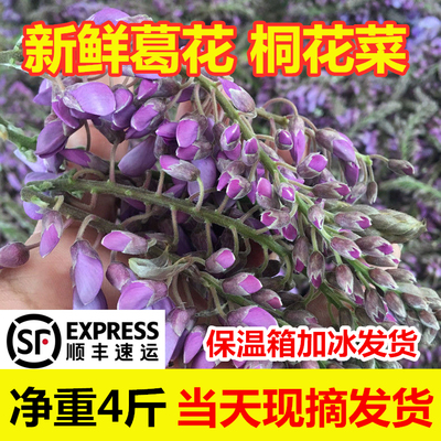 新鲜葛花桐花菜3斤顺丰包邮速发