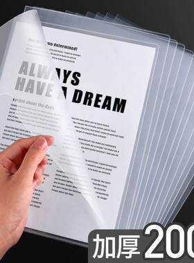 folder a4, two page office file set, single transparent