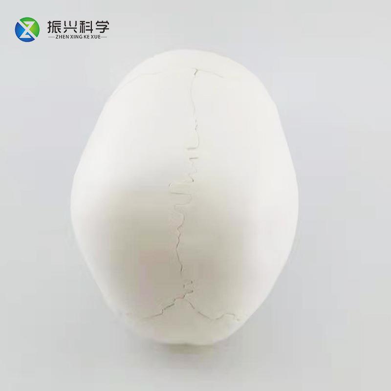 22分部件骨色头骨可拆模型模人体骨骼模型教学型2617**振兴22CM