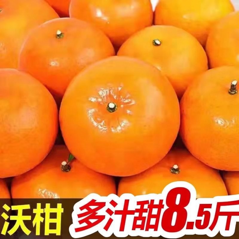 正宗广西武鸣沃柑新鲜水果当季超甜贡柑孕妇小孩水果批发整箱橘子,水产肉类/新鲜蔬果/熟食,桔子,淘宝优惠券,粉丝福利购,淘宝优惠卷