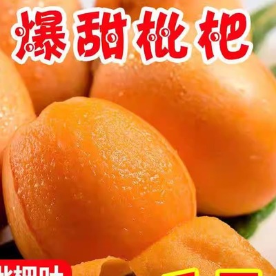 爆甜枇杷批发琵琶孕妇水果润肺