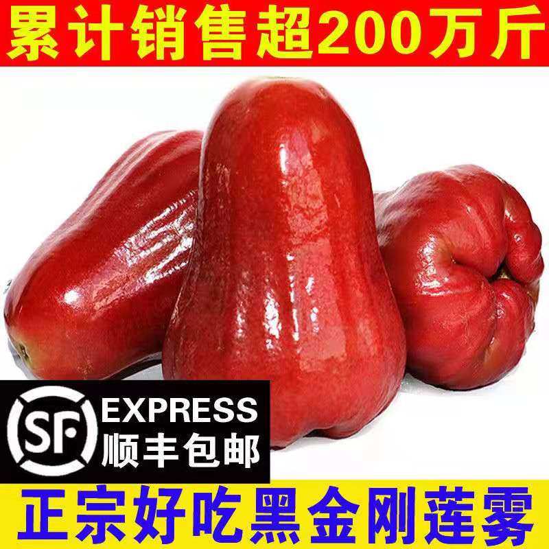 海南新鲜水果黑金刚莲雾果树上熟中果大果特大果顺丰包邮坏果包赔,水产肉类/新鲜蔬果/熟食,莲雾,淘宝优惠券,粉丝福利购,淘宝优惠卷