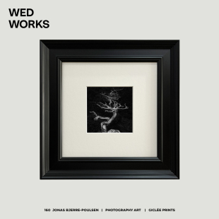 WED WORKS 小众极简单色艺术摄影组合背景墙咖啡厅书房挂画装饰画