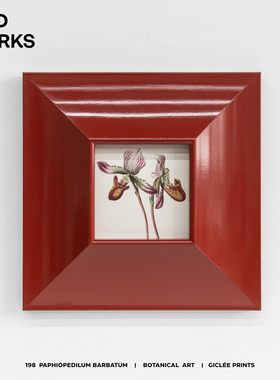 WED 小众原创植物花红色钢琴漆包豪斯多巴胺装饰画新年小挂画礼物