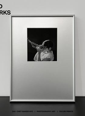 WED 小众设计师摄影包豪斯中古风装饰画 客厅咖啡厅艺术银色挂画