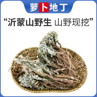 500g紫花地丁中药材野生地丁子地丁茶地丁草柴花苦地丁紫地丁草药