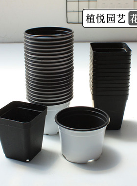 白色塑料花盆9cm小黑方塑料四方7cm多肉植物小盆栽透气佳简易美观