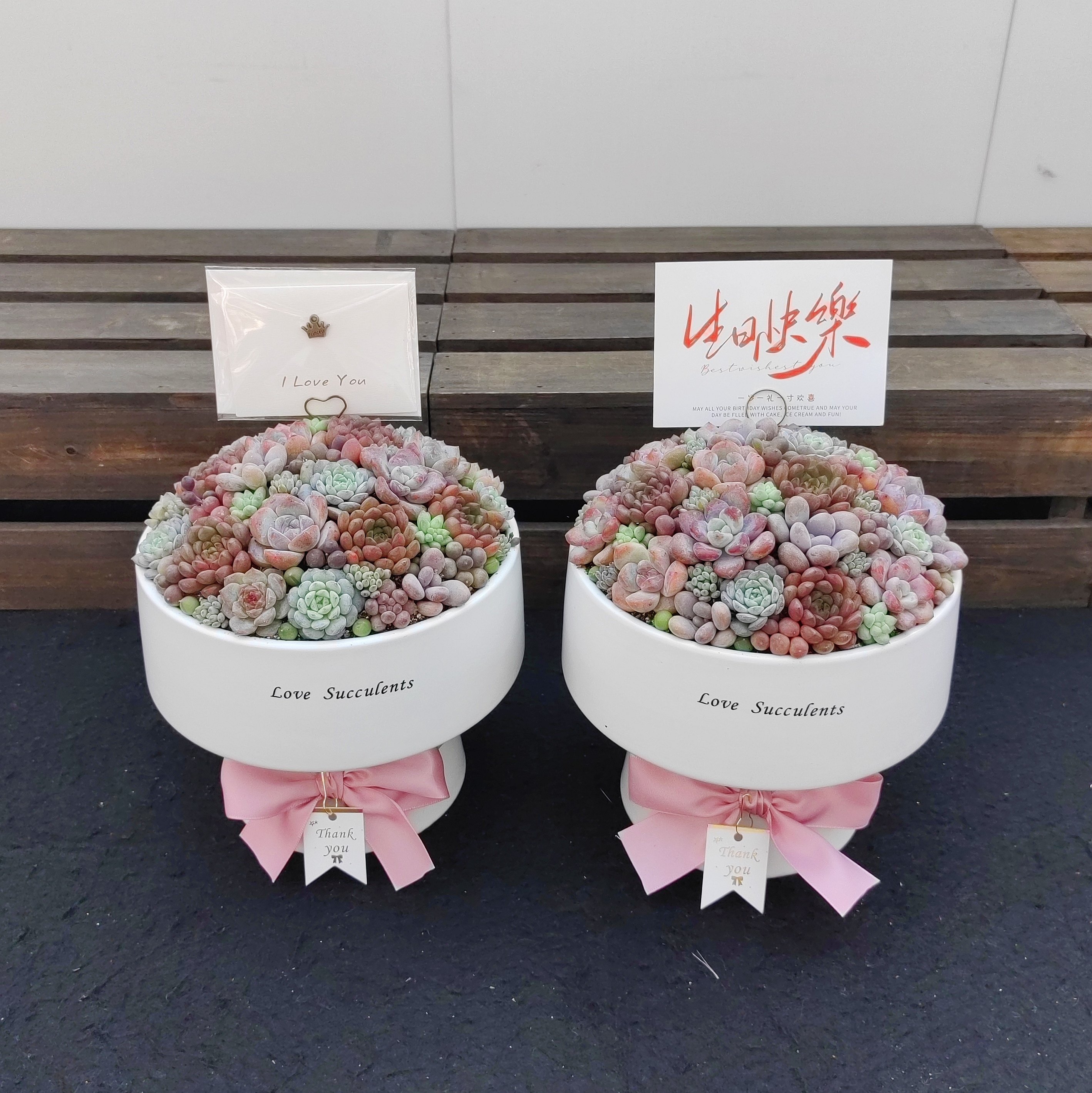 节日礼品多肉植物带盆栽好 创意花束鲜艳红色手捧花   送领导好养,鲜花速递/花卉仿真/绿植园艺,多肉植物,淘宝优惠券,粉丝福利购,淘宝优惠卷