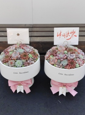 节日礼品多肉植物带盆栽好 创意花束鲜艳红色手捧花   送领导好养