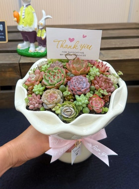 多肉植物花束手捧花组合拼盘带盆带土栽好成品 节日创意礼物礼盒