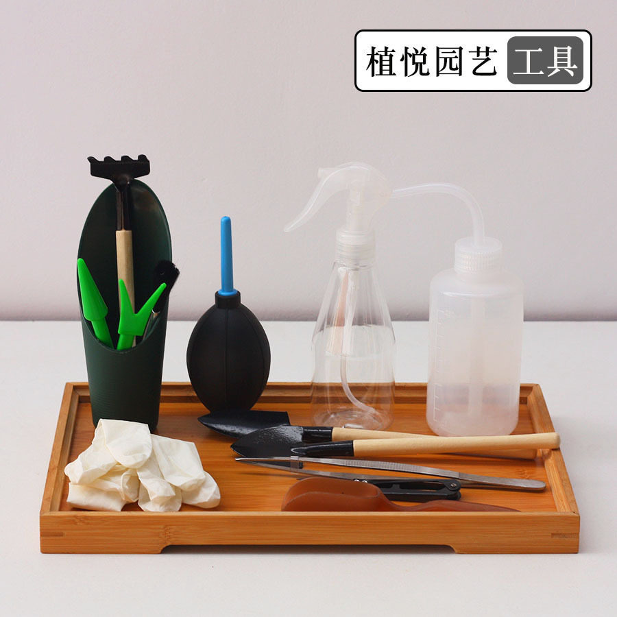 新款多肉植物工具三件套铲子尖嘴壶喷壶镊子浇水壶移苗器栽种促销,鲜花速递/花卉仿真/绿植园艺,铲子,淘宝优惠券,粉丝福利购,淘宝优惠卷