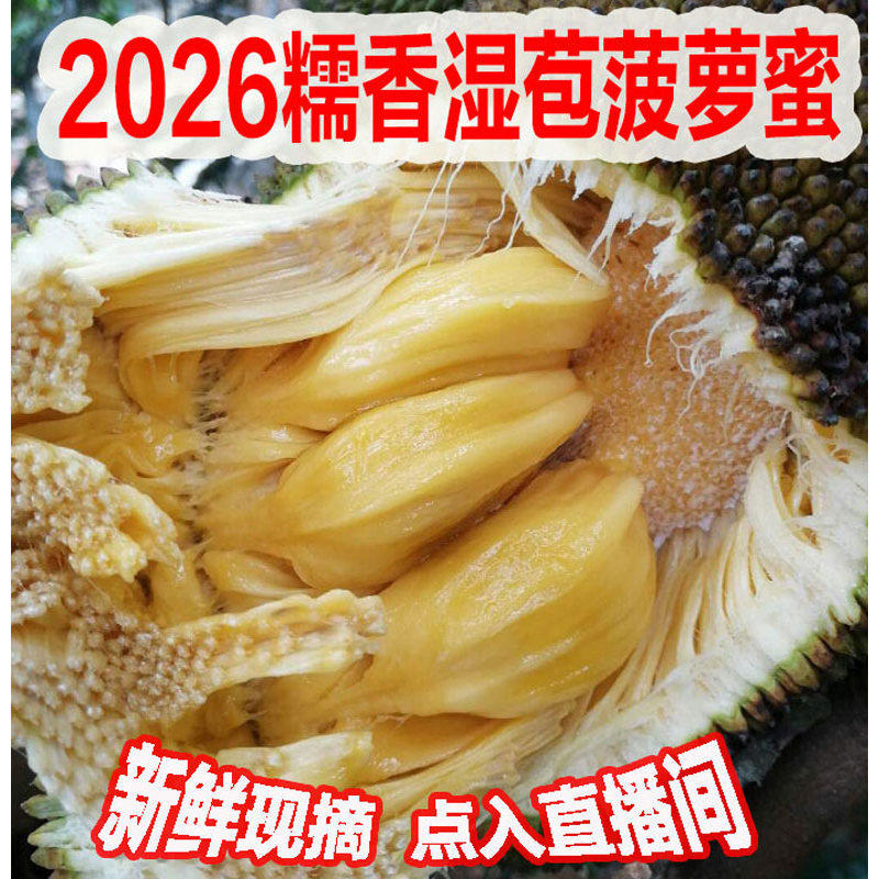 湿苞/包菠萝蜜广西特产北海树菠萝新鲜软糯榴莲味非海南干苞菠萝