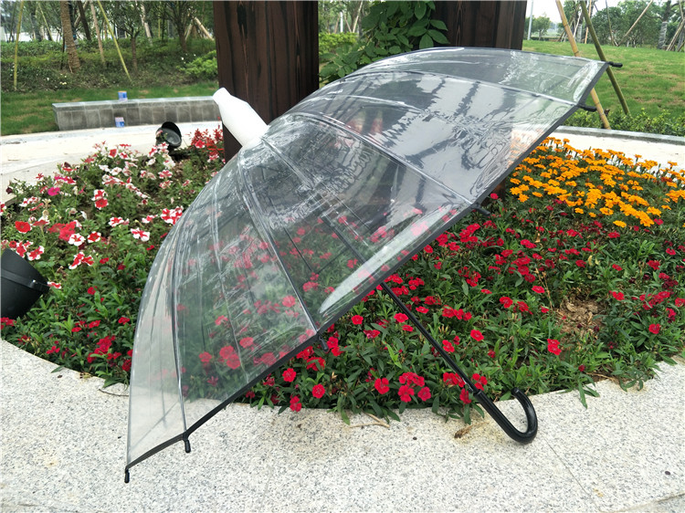 加厚透明雨伞女日系小清新个性情侣学生伞创意伞晴雨伞长柄自动伞