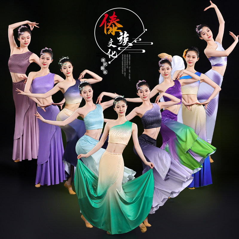 傣族舞蹈演出服装女艺考练功练习傣族半身裙云南民族孔雀舞表演服