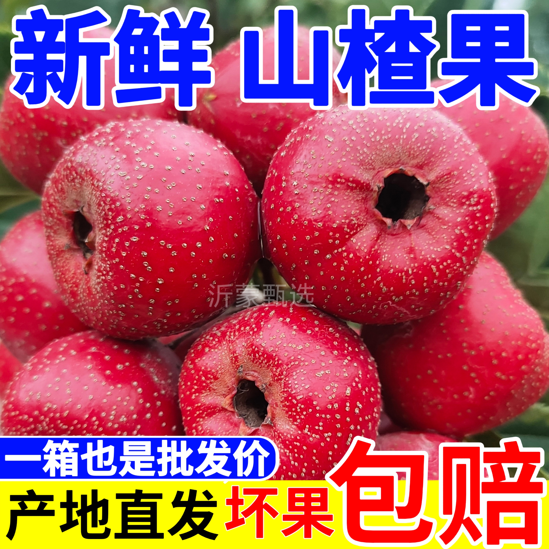 新鲜山楂果5斤大果水果
