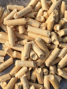 俄罗斯樟子松好猫砂15kg30斤较强吸水去臭可以 松木砂毛用品 包邮