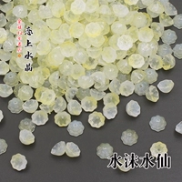 Желтая вода-плавные нарциссы 20