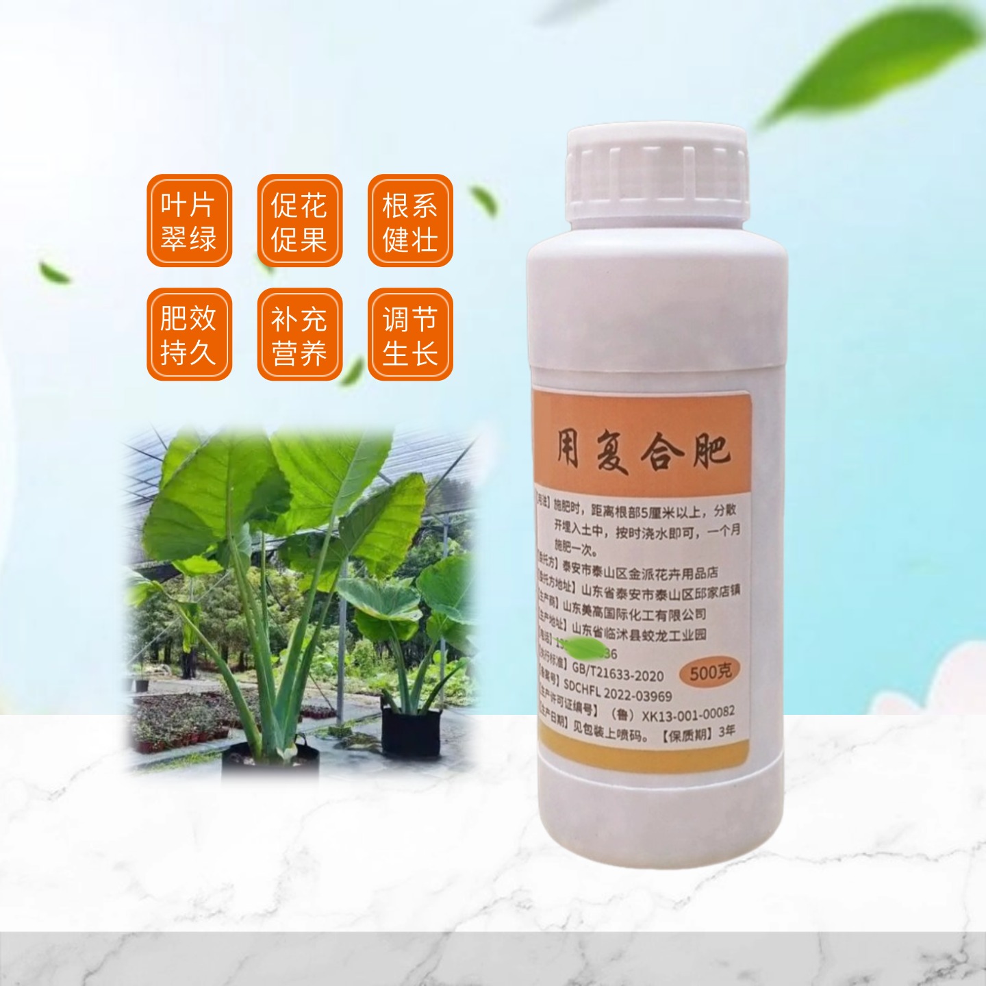 象耳芋霸王芋盆栽复合肥花肥