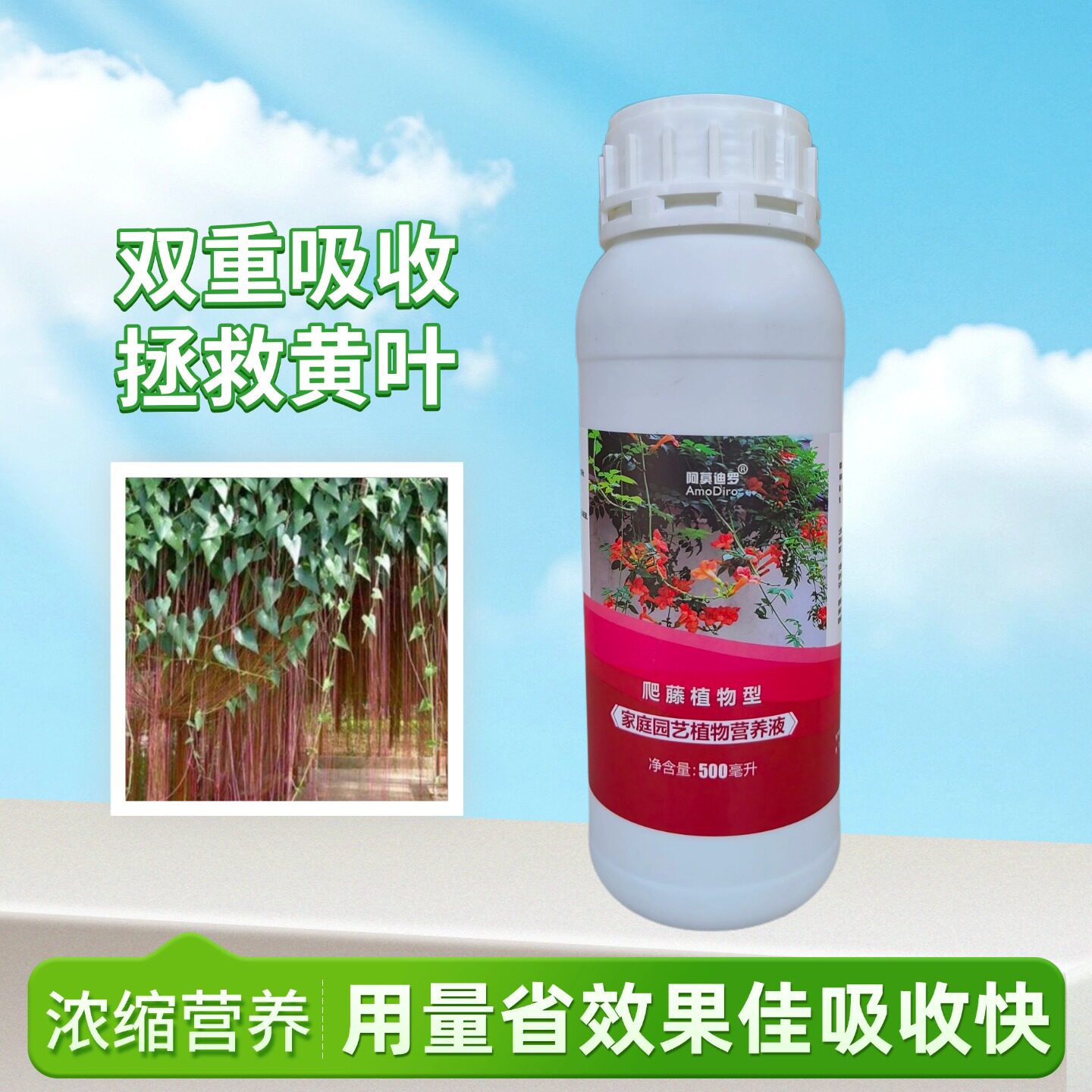 锦屏藤珠帘藤一帘幽梦浓缩营养液家用庭院爬藤盆栽专用黄叶水溶肥