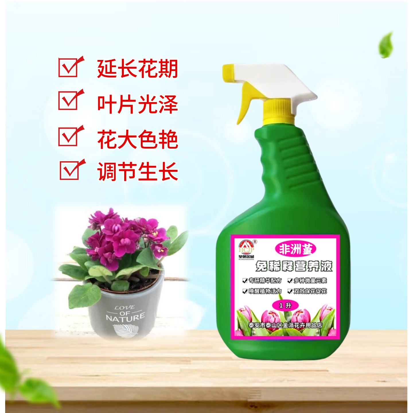 非洲堇紫罗兰盆栽营养液家用庭院室内重瓣绿植免稀释喷施叶面肥料
