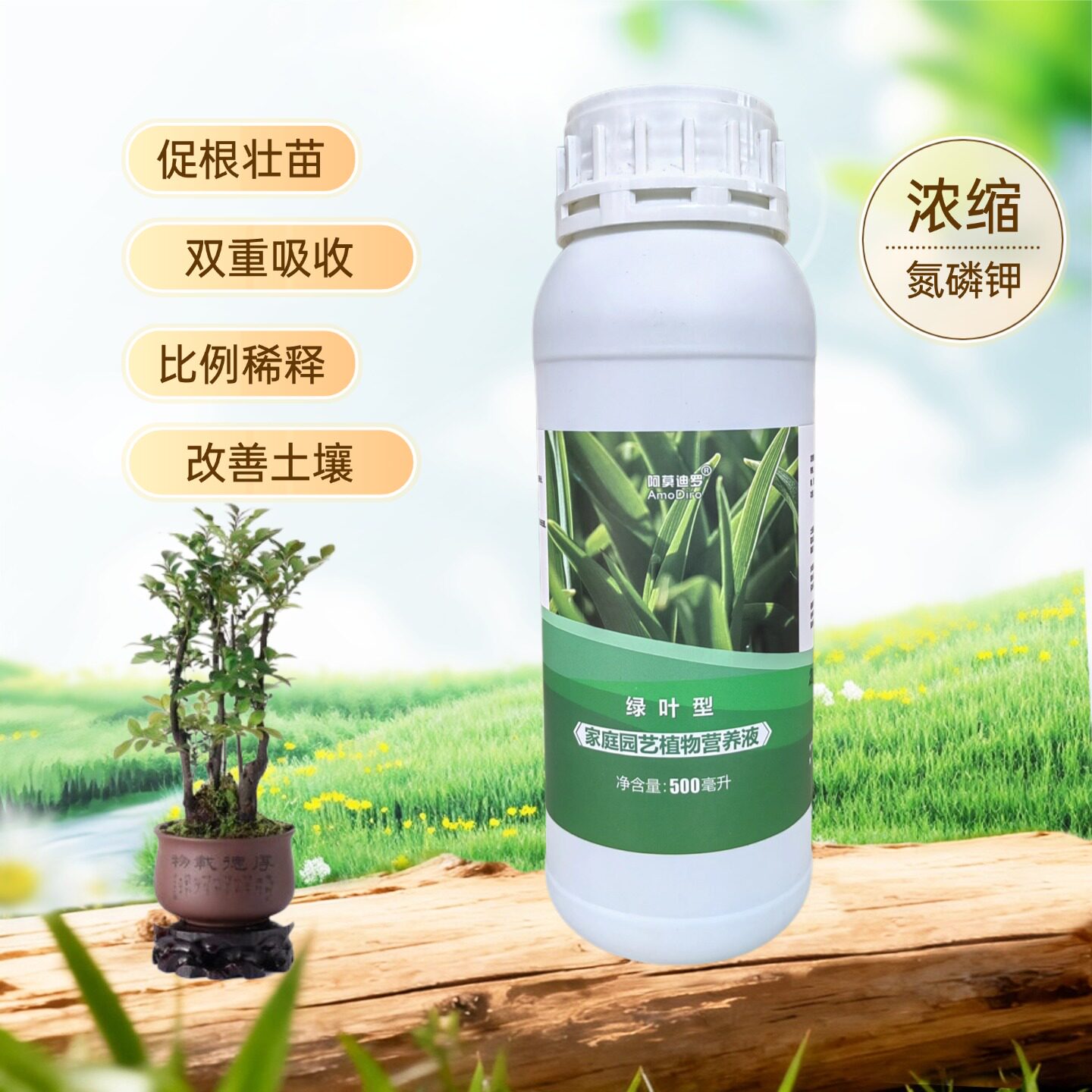 黑骨茶小叶紫檀树苗盆景营养液家用庭院老桩盆栽专用黄叶水溶花肥