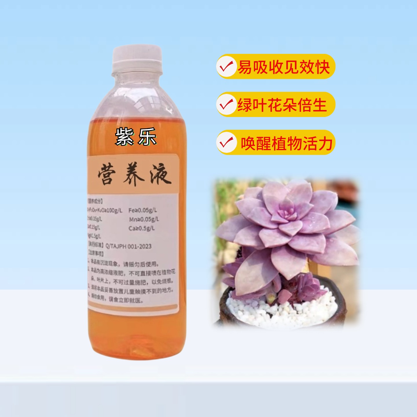 紫乐多肉紫悦营养液家用室内