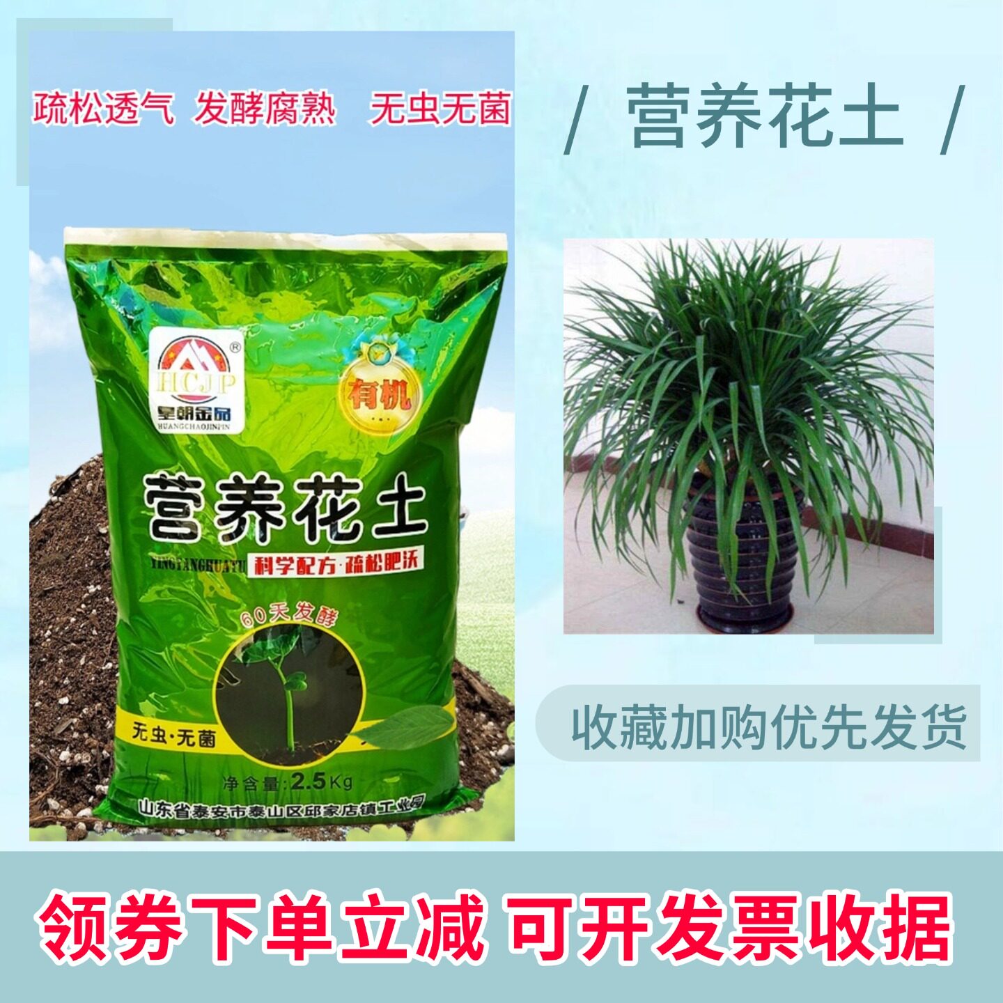 龙须兰大花豆兰营养土椰砖疏松腐熟家用室内盆栽多头专用育苗种植
