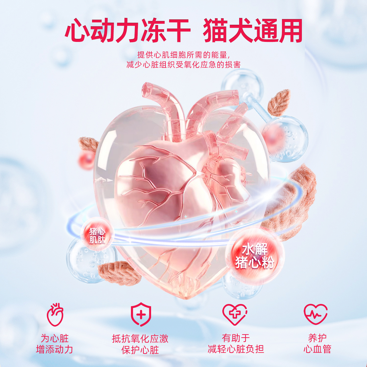 猫咪零食狗狗零食q10冻干心动力肥胖老年猫犬营养呵护心脏