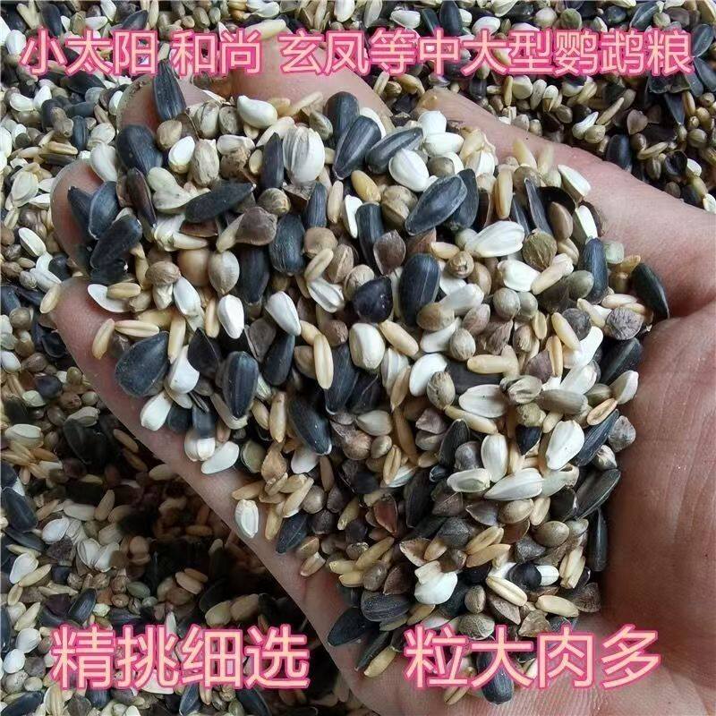 鹦鹉鸟粮饲料虎皮玄凤牡丹鸟食带壳黄谷子五色黍子小米混合专用粮