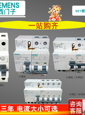 西门子5SY6灰色C型漏电保护器断路器1P+N/2P/3P/4P家用空开1A-63A