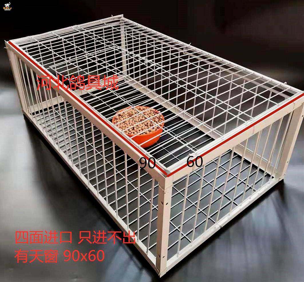 "天落笼信鸽只进不出鸽子笼抓/鸽子神器鸟笼陷阱笼子捕野鸽
