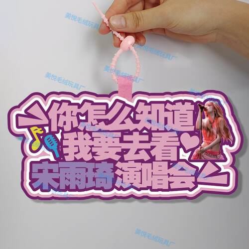 你怎么知道我要去看宋雨琦演唱会不织布挂件定制应援背包挂饰包包