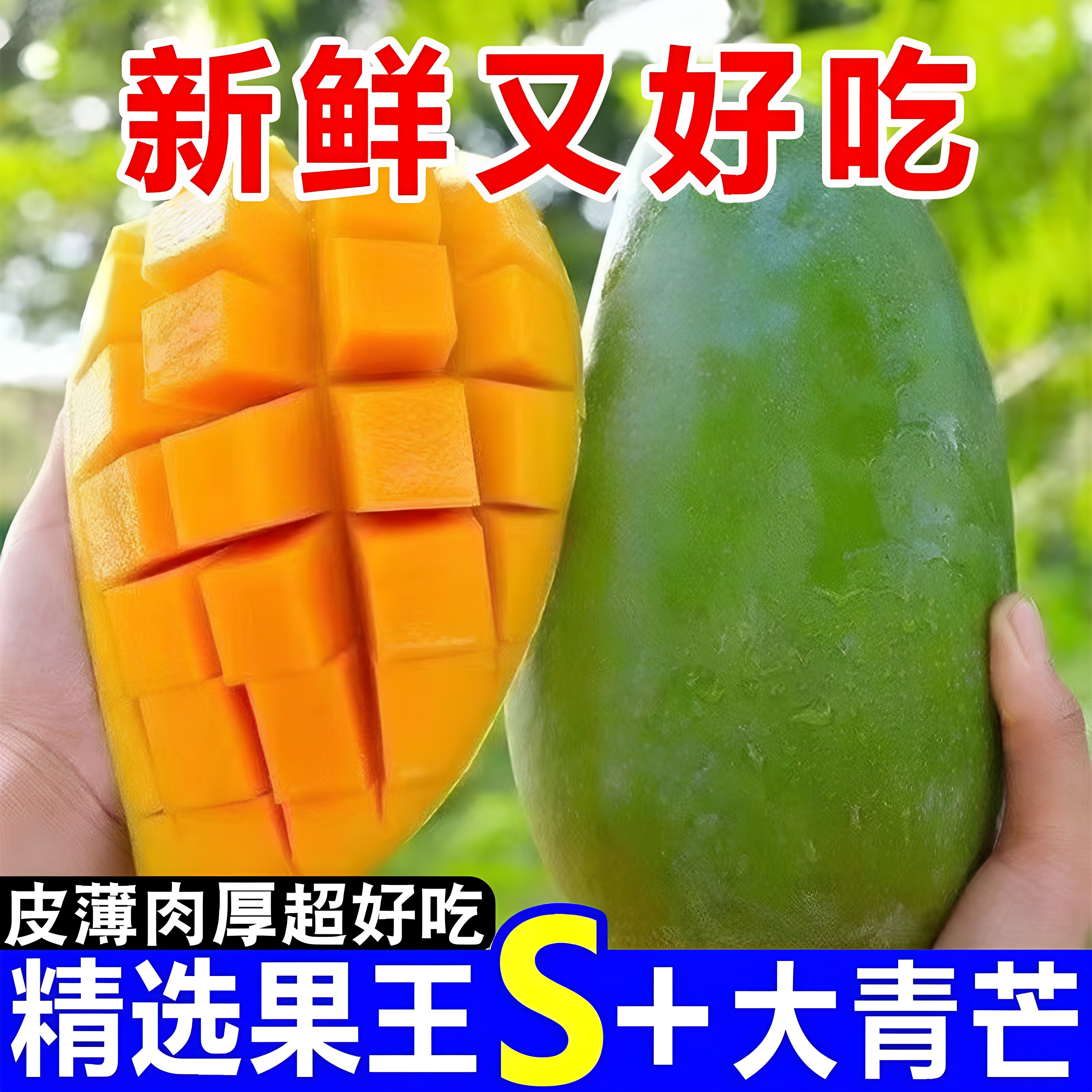 【精品】正宗大青芒纯甜细腻芒果芒果