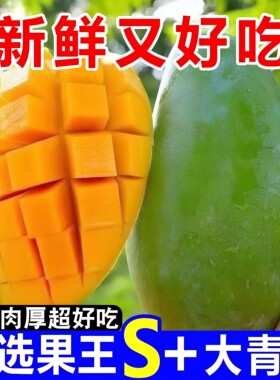 【精品】正宗大青芒纯甜细腻芒果大青芒大芒果新鲜采摘应季水果