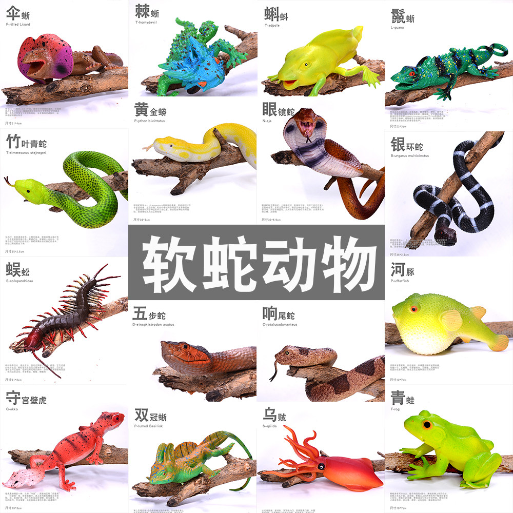 昆虫动物模型软胶TPR款式多做工