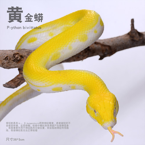 黄金蟒软胶材质逼真造型好