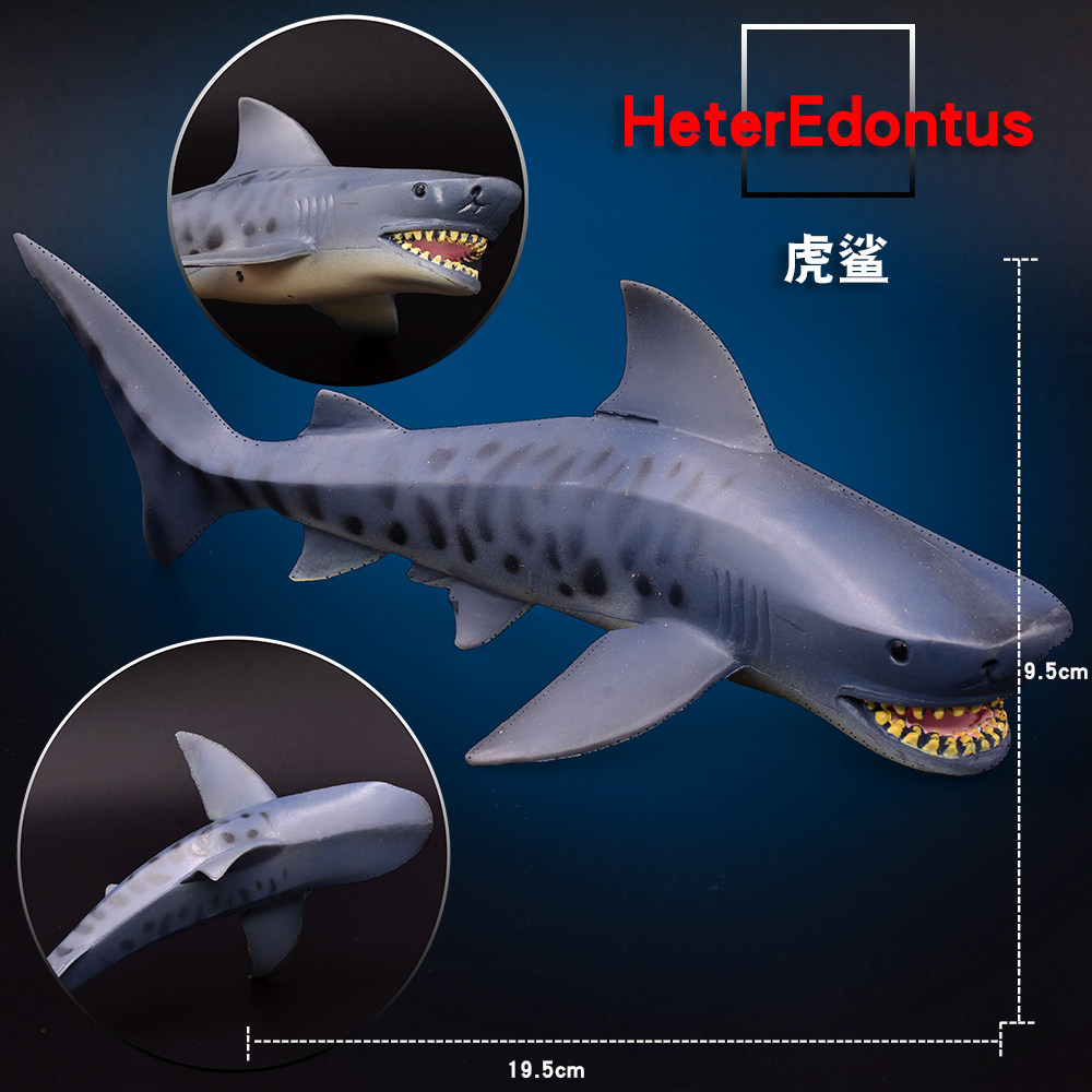海洋动物模型鱼类认知公仔玩具