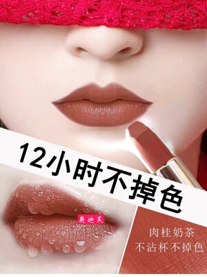 ins口红板栗棕大牌口红不掉色不沾杯不脱色豆沙哑光肉桂奶茶