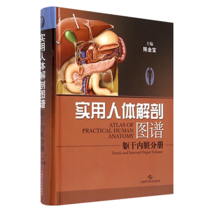 实用人体解剖图谱 躯干内脏分册 胸背部内脏张力线关节胸壁动脉肋骨周围静脉乳腺气管食管肺心脏解剖医学书籍 上海科学技术出版社