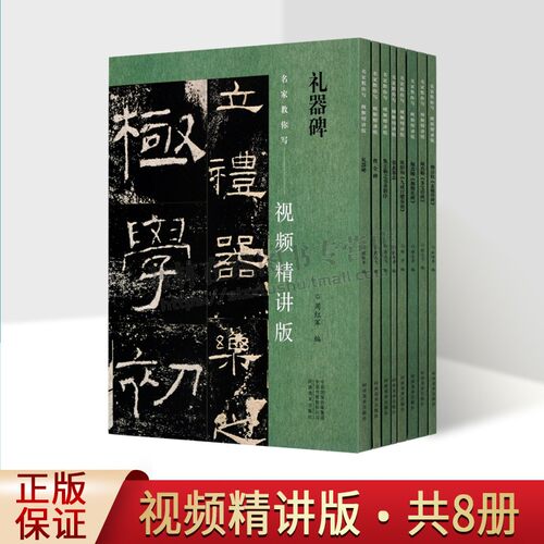 名家教你写视频精讲版系列（共八册）集王羲之书圣教序玄妙塔碑九城宫醴泉铭多宝塔碑张玄墓志颜卿礼碑 书法教材 河南美术出版社